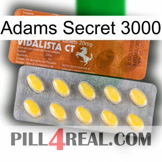 Adams Secret 3000 42